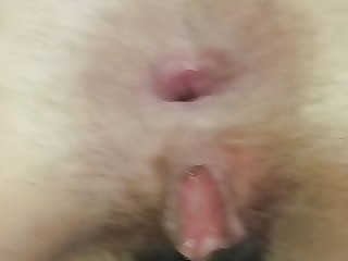 FUNNY GAPING HAIRY PUSSY  ASSHOLE